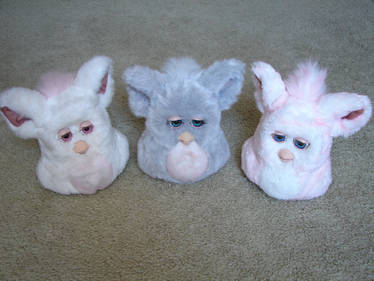 My Furby Collection: 2005 Furbys (Update 1)