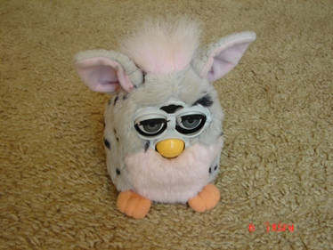 Furby for trade