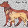 Team Jacob