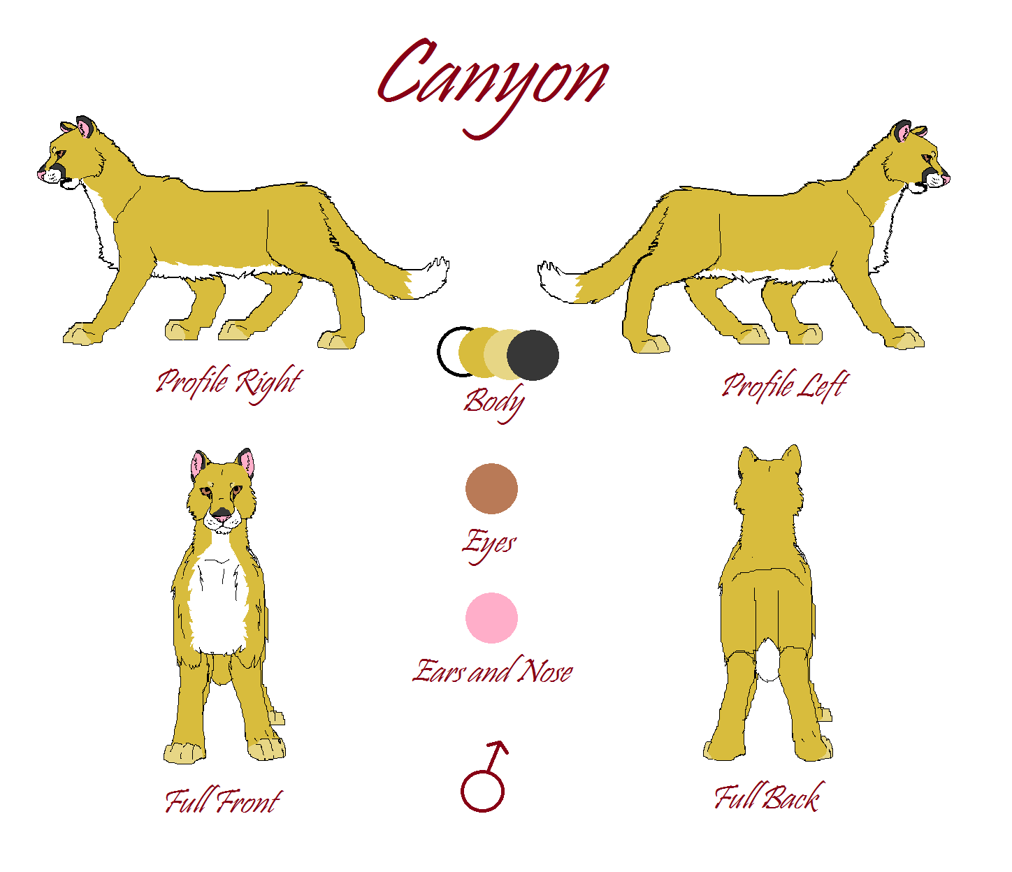 Canyon Reference Sheet 2013