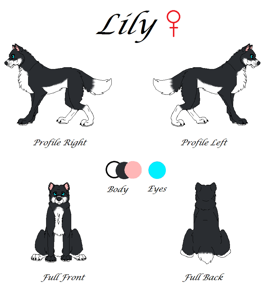 Lily Reference Sheet 2015