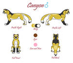 Canyon Reference Sheet 2016 by MelodicDragon