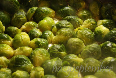 Frying Brussel Sprouts by hazyseptember