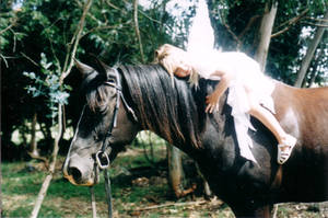 Little Fairy on a Horse