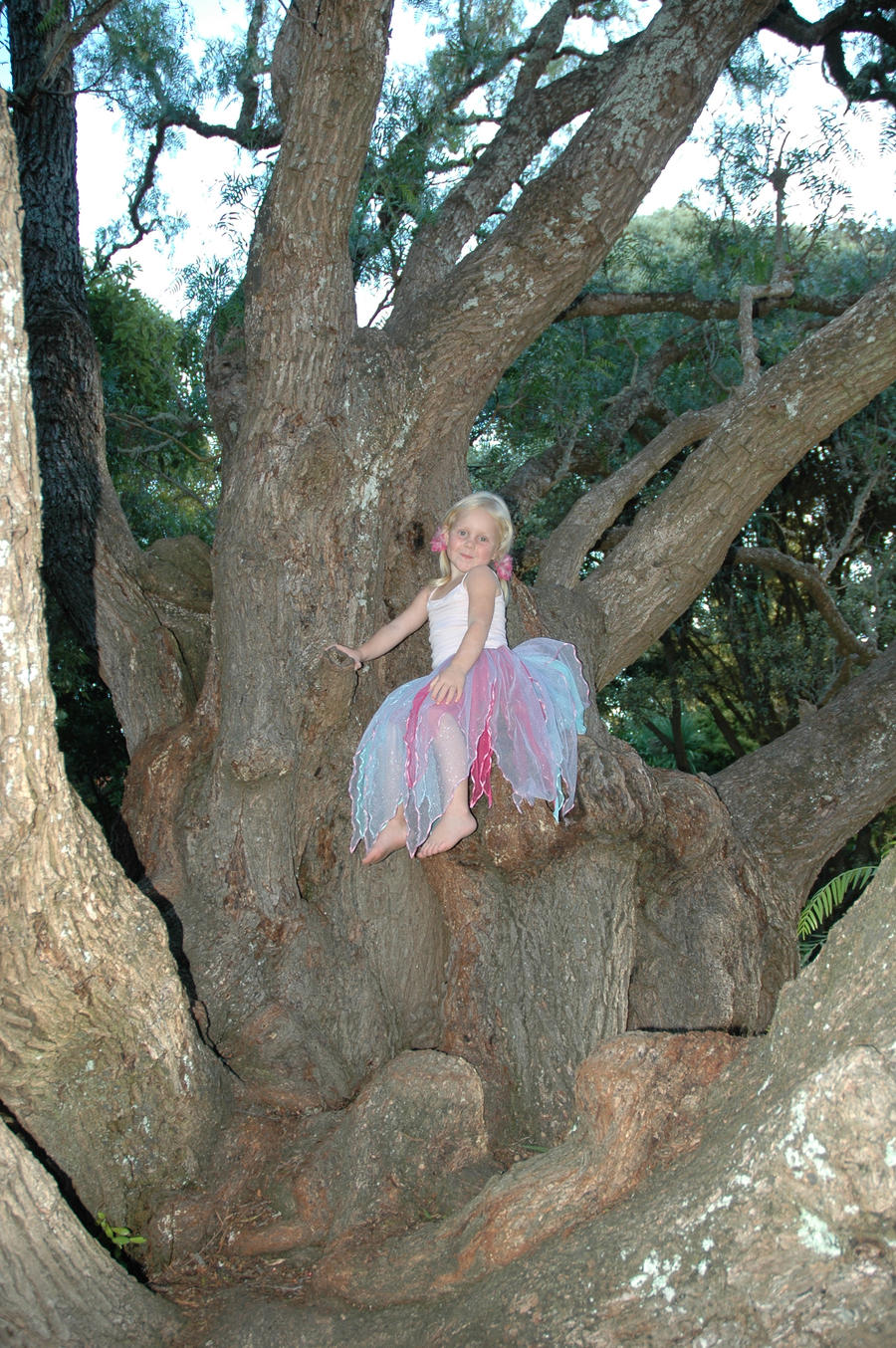 Little Tree Fairy 44