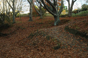 Creepy Autumn Path 5