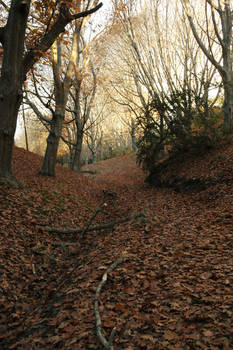 Creepy Autumn Path 6