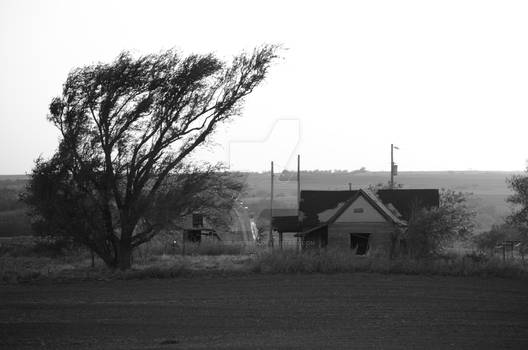 House in the Middle of Nowhere