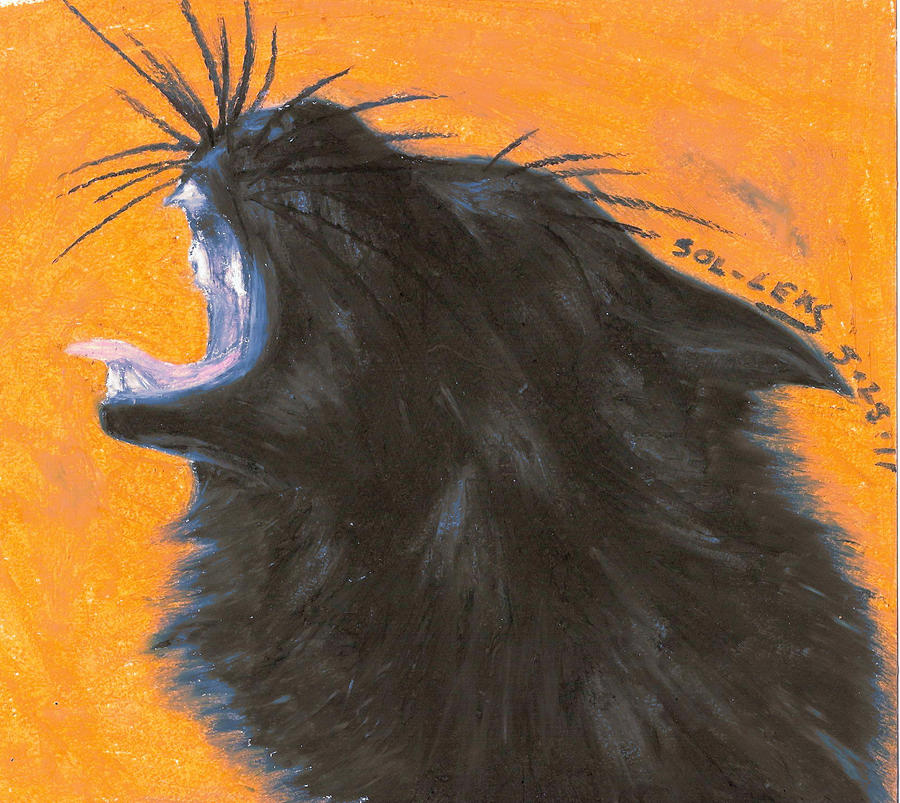 Black Cat Yawn V2
