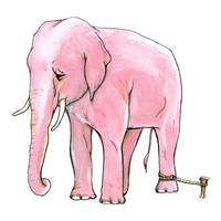 Pink Elephant Tied Up
