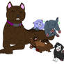Hisa's puppies adoptables