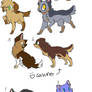 12 Canines and Felines adoptables