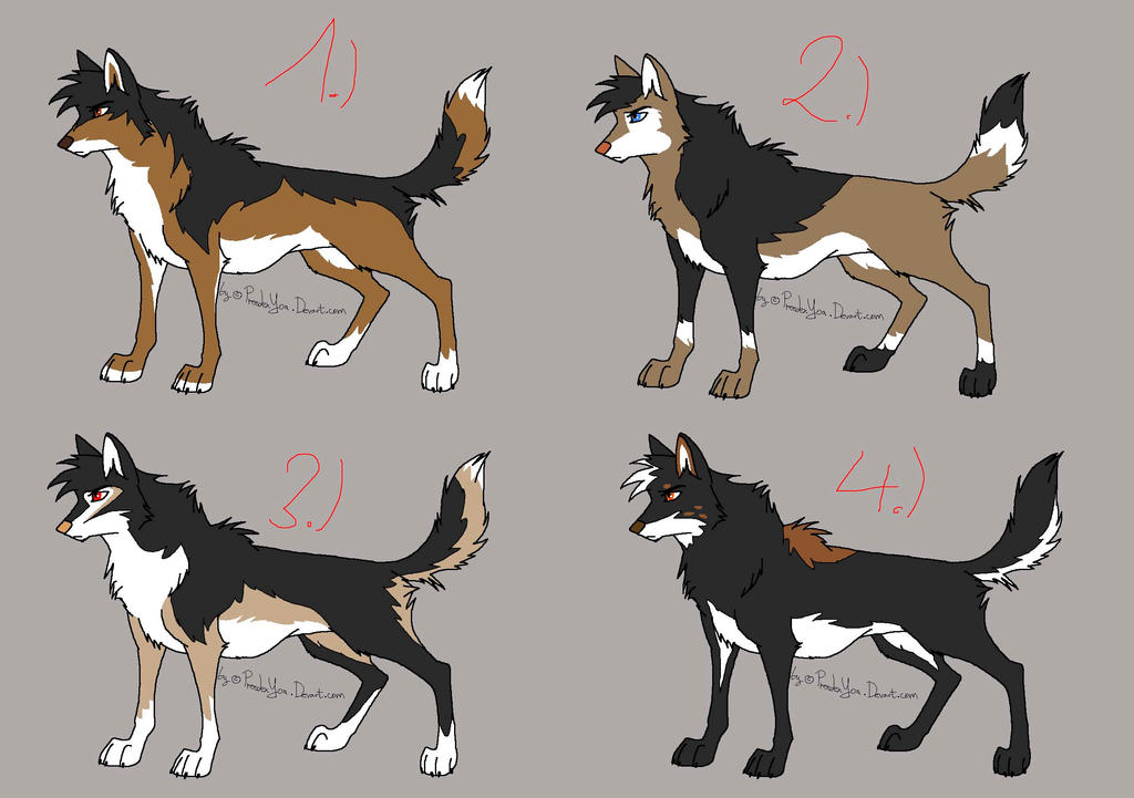 3 Color Wolf Character Adoptable Closed By StanHoneyThief On DeviantArt.