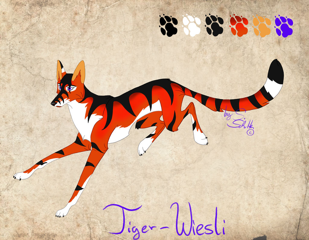Tiger-Wiesli - character concept sheet