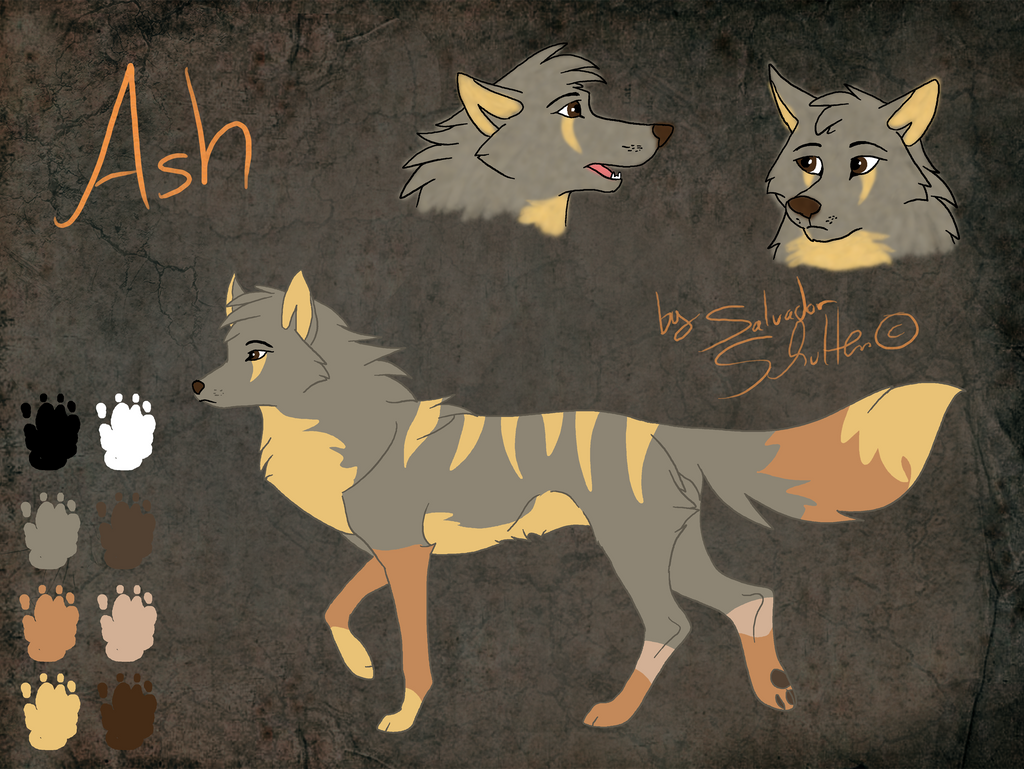 Ash Character Sheet By Mrwolf86 On Deviantart Ash Character Sheet By Mrwolf86 On Deviantart