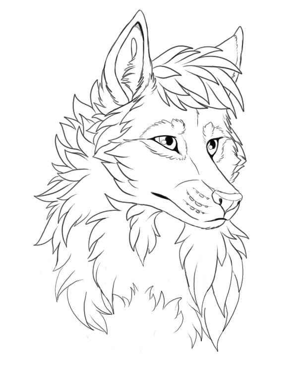 photo Wolf Base Drawing wolf head free lineart by