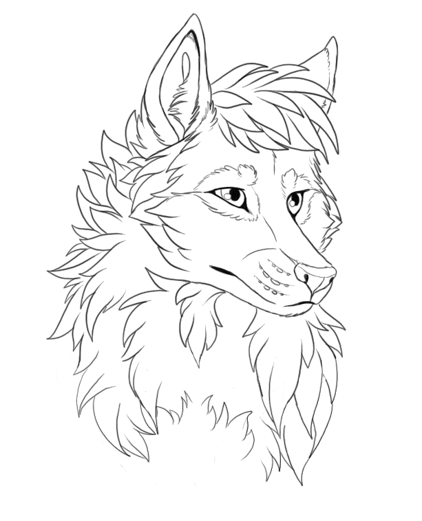 Wolf head - Free Lineart