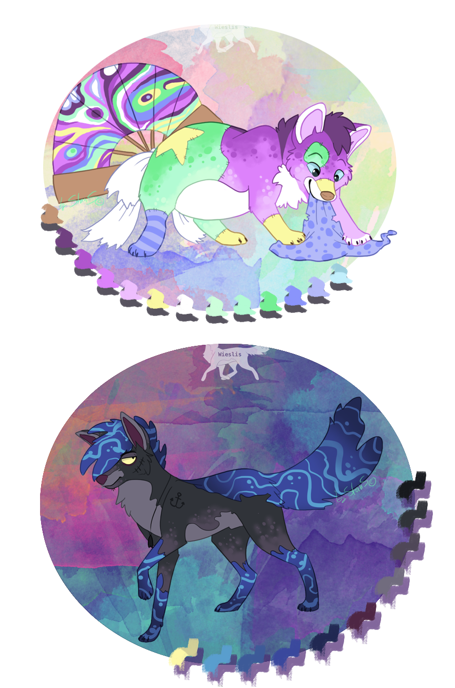 Different wiesli species adopts - CLOSED