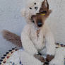 Mr Wolf posable doll - Trying to by sheepish