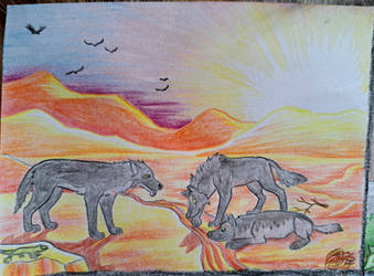 AoAs part 2 for Shadow Challenger and Streuner