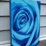 Blue Rose