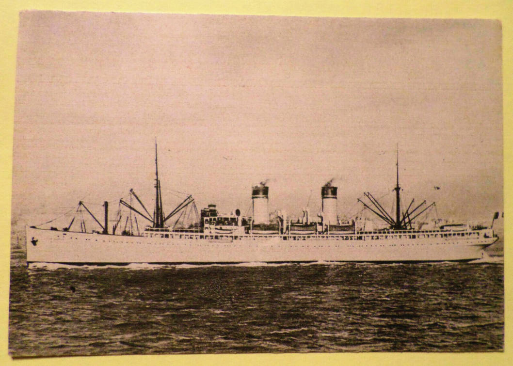 SS San by wildelf34 on DeviantArt