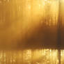 9.7.2022: Morning Gold