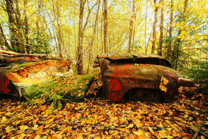 9.10.2022: Resting with The Colors