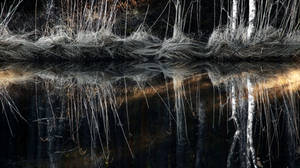 1.5.2024: Sunlight On The Water