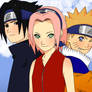 Team 7 Coloured