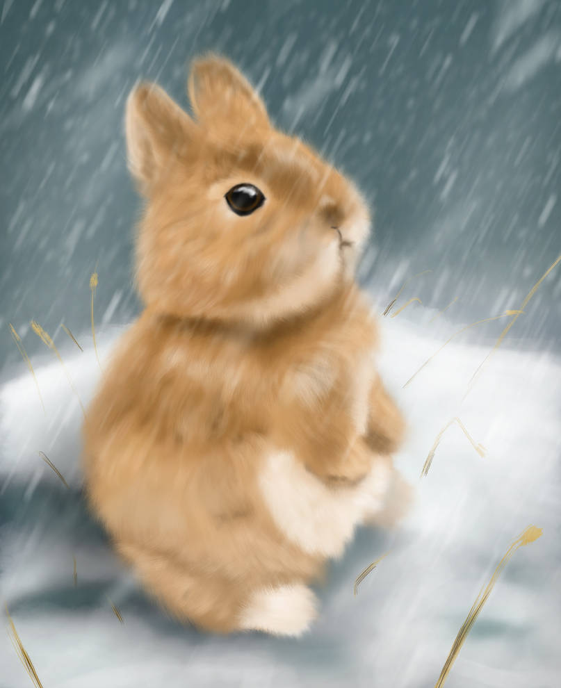 A baby bunny's first snow by PavelAtanasov on DeviantArt