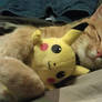 Fluffy Hugs for Pikachu