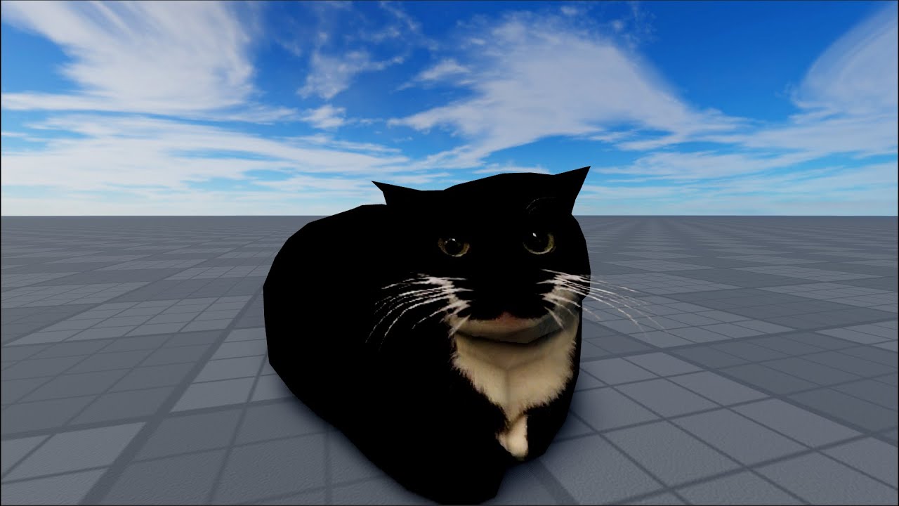 Maxwell the cat by Telndy on DeviantArt