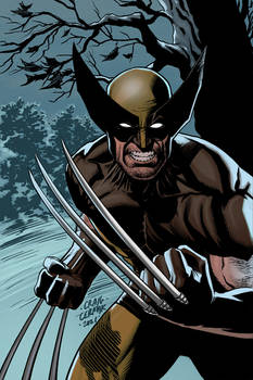 Wolverine