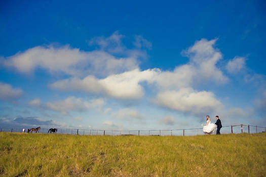 Big skies