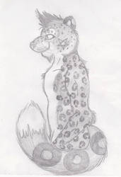 Azariel the snowleopard