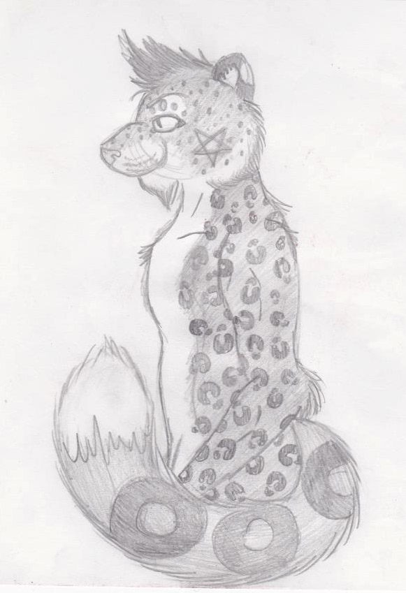 Azariel the snowleopard