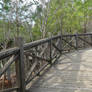 Bridge Over Muddy Water