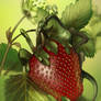 The Strawberry Thief