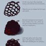 Drawing Blackberry Tutorial