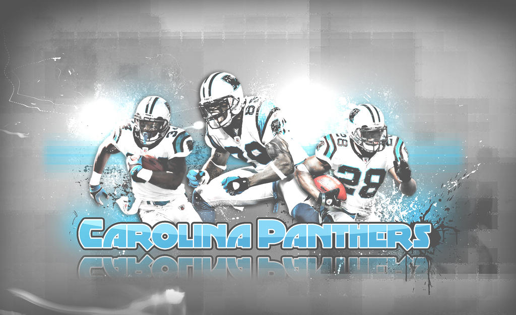 Panthers 2008