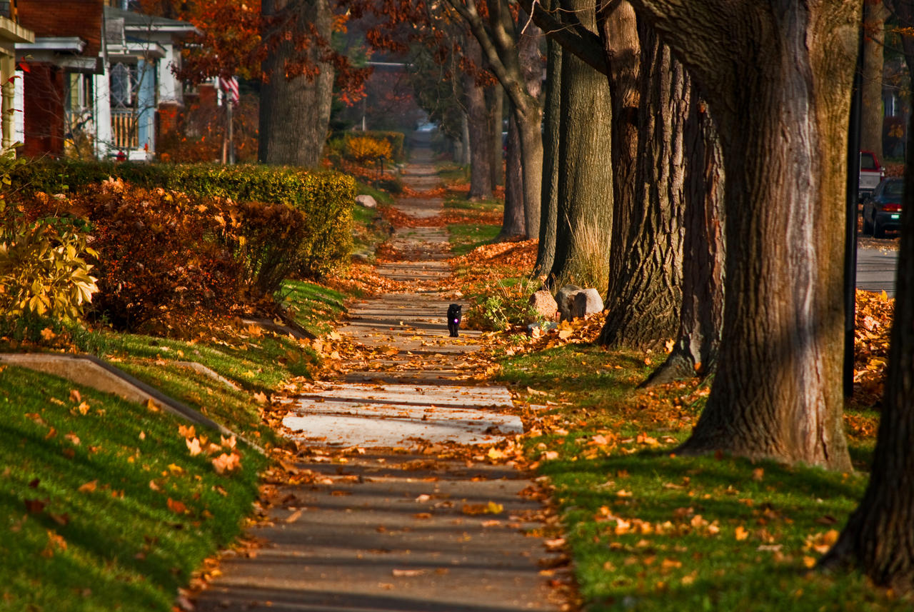 Wonderful Autumn Luck