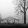 Foggy Morning Park