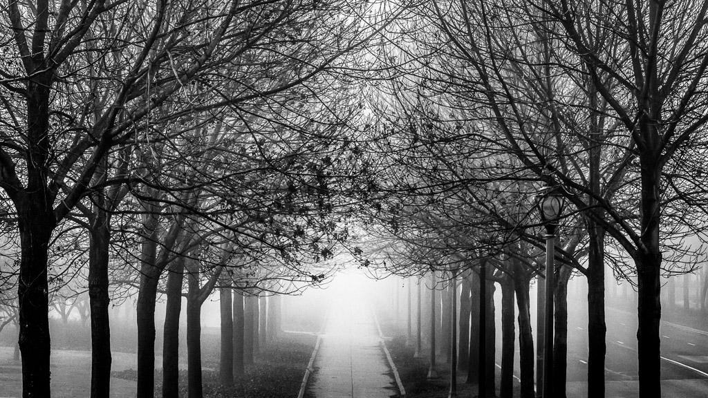 Foggy Walkway by redwolf518 on DeviantArt
