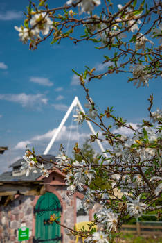 Pedestrian Bridge in the Spring