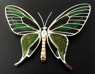 Birdwing Butterfly Ornithoptera paradisea Brooch by thebluekraken