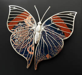 Indian Leafwing Moth Brooch by thebluekraken