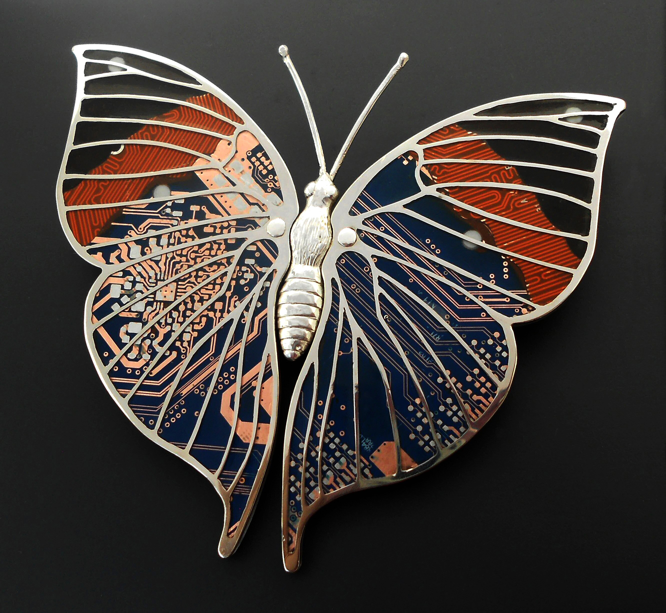 Indian Leafwing Moth Brooch