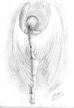 angel wings