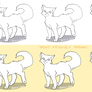 Free Cat Bases